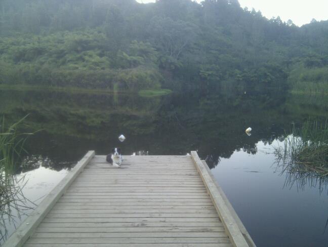 Kotare Ridge Panzió Waihi Kültér fotó