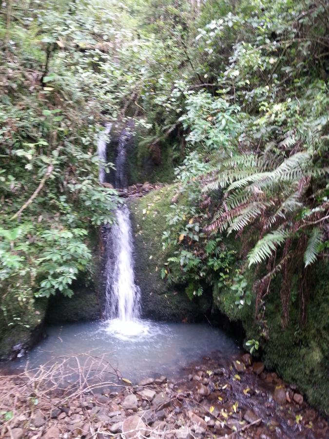 Kotare Ridge Panzió Waihi Kültér fotó