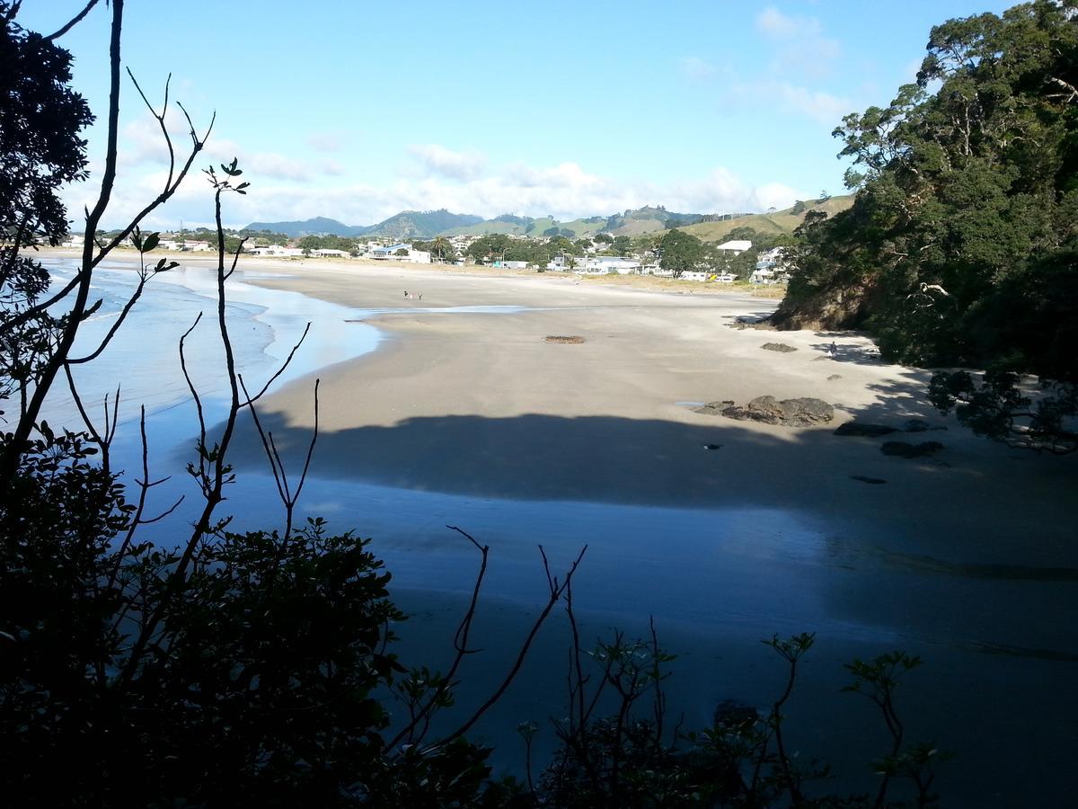 Kotare Ridge Panzió Waihi Kültér fotó